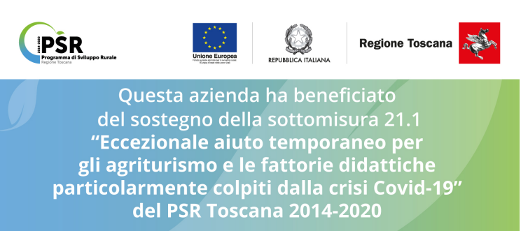 banner-psr banner-psr